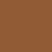 2in1 Summer Glow - Bronzing Moisturizer